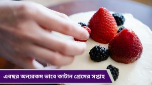 Valentine's Week: মনের মানুষকে মুগ্ধ করতে বানিয়ে ফেলুন ভ্যালেন্টাইন্স স্পেশাল কেক! রইল রেসিপি 