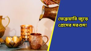  Health Tips: সুস্বাস্থ্যের জন্য তামার পাত্রে জল খাচ্ছেন‌, সত্যিই কি কোনও উপকার পাচ্ছেন? 