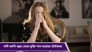 Cold And Cough: শীতে সর্দি-কাশি লেগেই রয়েছে? স্বস্তি মিলবে ঘরোয়া উপায়েই, কীভাবে জানুন 