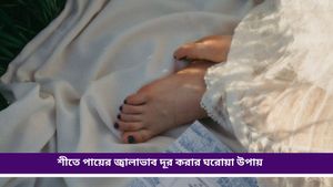 Health Hacks: শীতে মোজা পরে পায়ের তলায় জ্বালাভাব? জেনে নিন প্রতিকারের উপায় 