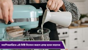 Milk cake: মহাশিবরাত্রিতে মহাদেবের বিশেষ আশীর্বাদ পেতে নিজের হাতে বানিয়ে ফেলুন এই মিষ্টি!