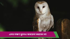 Astro Tips: বাড়িতে এইসব লক্ষণ দেখলেই বুঝবেন আসছেন মা লক্ষ্মী! জানুন লক্ষণগুলি