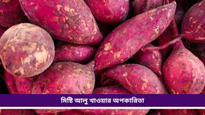 Sweet potato: মিষ্টি আলু খেতে ভালোবাসেন, কিন্তু অতিরিক্ত পরিমাণে খেলে জানেন কী হতে পারে? 