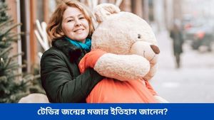 Valentine's Week: প্রেমিকাকে টেডি দেবেন ভাবছেন? জানেন টেডি বেয়ারের জন্ম কীভাবে?  