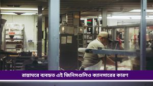  Health Tips: রান্নাঘরে থাকা এই জিনিসগুলি ক্যানসারের কারণ, আজই সরিয়ে ফেলুন