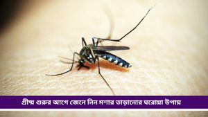 Mosquito Repellent: শীত শেষে মশার উৎপাত বেড়েছে? ঘরেই বানান দাওয়াই, মশা পালাবে 'বাপ বাপ' বলে