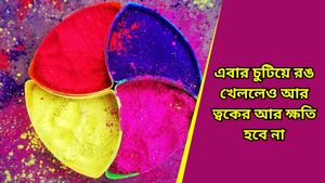 Holi 2025: দোকানের জাল আবিরে নয়, ত্বকের যত্ন নিতে বাড়িতেই বানিয়ে নিন ভেষজ আবির