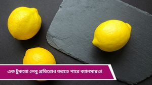 c: প্রতিদিন পাতে এক টুকরো লেবু থাকলেই কেল্লাফতে! উপকারিতা জানলে চমকে উঠবেন