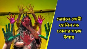 Holi 2025: হোলিতে দেয়ালে একগুঁয়ে রঙ দূর করা নিয়ে চিন্তা? ভরসা রাখুন এই ঘরোয়া উপায়ে, বাপবাপ বলে উঠবে