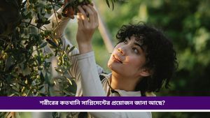 Vitamin D deficiency: সাপ্লিমেন্ট খেয়েও ভিটামিন-ডি এর ঘাটতি? নেপথ্যে রয়েছে কোন কারণ, জানুন