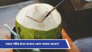 Summer Health Tips: সুস্থ থাকতে প্রতিদিন খান এইসব খাবার, গরমেও শরীর থাকবে ফিট, জানুন বিশেষজ্ঞদের পরামর্শ