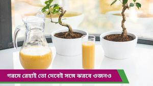 Summer drink: ছাতুর শরবতে চুমুক দিলেই স্বস্তি পাবেন গরমে, গুণ জানলে অবাক হবেন!