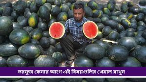 Watermelon: লাল-টুকটুকে রসালো তরমুজ কীভাবে চিনবেন? ঠকার আগেই জেনে নিন সহজ উপায়