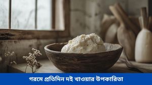 Benefits of curd in summer: গরমে পেট ঠাণ্ডা রাখতে শেষ পাতে রাখুন দই, রয়েছে হাজার উপকারিতা