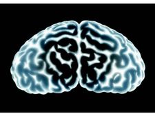 ટોપ 10 વસ્તુઓ જે તમને પ્રતિભાશાળી બનાવશે