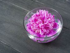 ઘરનાં પ્રવેશ દ્વારે રાખો આ વસ્તુઓ, થશે દિવસ બમણો, રાત્રિ ચાર ગણી