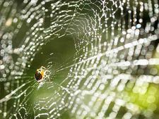 ઘરમાં ધનની વર્ષા થવા લાગશે જો ત્યાથી તાત્કાલિક દૂર કરી દેશો આ વસ્તુઓ