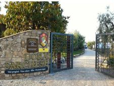 ઇટાલીનાં આ ફાઉંટેઇનમાં મળે છે 24 કલાક ફ્રી વાઇન