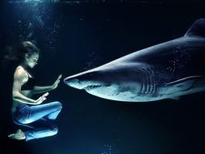 શાર્કથી ભરેલા પૂલમાં મીટનાં ટુકડાંઓ સાથે કૂદી ગઈ આ છોકરી, જાણો પછી શું થયું