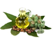 આ ત્વરિત કેસ્ટર ઑઇલ હેક્સ સાથે અત્યારે જ વ્રિન્કલ્સ ને આવજો કહો 