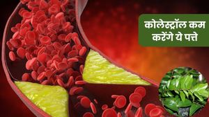 बैड कोलेस्ट्रॉल को कंट्रोल करने में रामबाण हैं ये 5 हरे पत्ते, रोजाना सेवन से हार्ट भी रहेगा हेल्दी