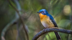 Lucky Signs: घर से निकलते समय इन 5 चीजों का दिखना माना जाता है बेहद शुभ, समझ जाएं जल्द बदल सकती है किस्मत