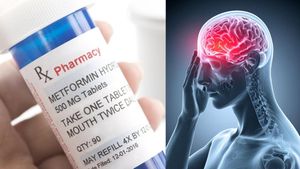 डायबिटीज की दवा मेटफॉर्मिन कैसे डालती है दिमाग पर असर, 60 साल बाद रिसर्च में हुआ खुलासा