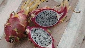 ड्रैगन फ्रूट खाने से सेहत को मिलते हैं कई फायदे, एनीमिया से लेकर डायबिटीज जैसी कई बीमारियां होंगी दूर