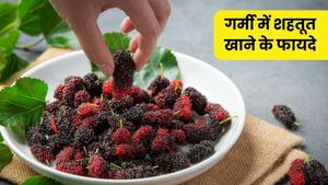 गर्मियों में सेहत के लिए रामबाण है शहतूत, कब्ज से लेकर एनीमिया तक दिलाए राहत