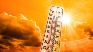 Heatwave Alert: अगले 5 दिनों तक इन शहरों में चलेगी भीषण लू, 44°C तक पहुंचेगा पारा, IMD ने जारी की एडवाइजरी