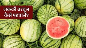 Real vs Fake Watermelon: कहीं आप भी तो नहीं खा रहे मिलावटी तरबूज? इन आसान तरीकों से करें असली और नकली की पहचान
