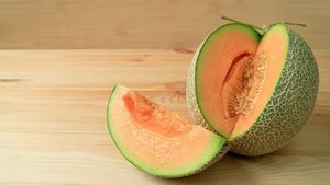इन 5 लोगों को भूलकर भी नहीं खाना चाहिए खरबूजा, सेहत को हो सकता है गंभीर नुकसान