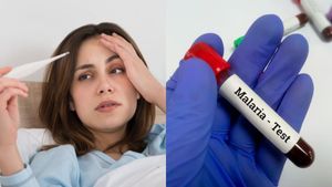 World Malaria Day 2026: मलेरिया की जांच के लिए कौन से टेस्ट किए जाते हैं? जानें कब टेस्ट करवाना होता है जरूरी