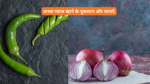 तपती धूप में निकलने से पहले खा लें प्याज-हरी मिर्च का ये खास सलाद, लू के थपेड़े भी रहेंगे बेअसर