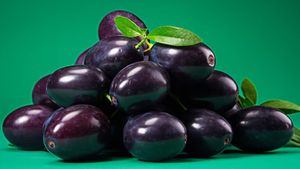 Jamun Side Effects: इन 5 लोगों को नहीं खाने चाहिए जामुन, फायदे की जगह पहुंचा सकता है भारी नुकसान