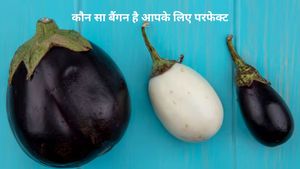 Brinjal Benefits: छोटे, लंबे या सफेद बैंगन; जानें आपकी सेहत के लिए कौन सा है सबसे बेस्ट?