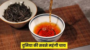 International Tea Day 2026: ये है दुनिया की सबसे महंगी चाय, एक किलो की कीमत 9 करोड़ रुपए, जानें क्या है खासियत