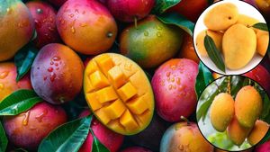 क्या आपने कभी खाया है 'हरामजादा' और 'गधा' आम? मिलिए Mango की उन 14 किस्मों से जिनके नाम हैं सबसे अतरंगी