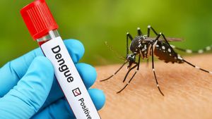 देश में डेंगू का तांडव, टूटा 5 साल का रिकॉर्ड! जानें Dengue के लक्षण और बचाव के उपाय