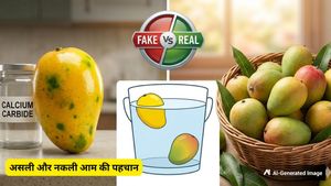 आप भी तो नहीं खा रहे केमिकल से पके आम? ऐसे करें असली-नकली की पहचान, जानें सेहत को होने वाले नुकसान
