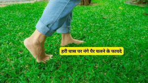 World Environment Day: नेचर थेरेपी है तनाव व एंग्जायटी का इलाज, जानें हरी घास पर नंगे पैर चलने के जादुई फायदे