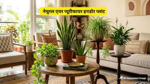 World Environment Day 2026: क्या आपके लिविंग रूम में है ये 5 पौधे? जो रात में भी देते हैं छप्परफाड़ ऑक्सीजन