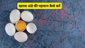 खाने से पहले कैसे करें खराब व ताजे अंडे की पहचान? शेफ पंकज भदौरिया ने बताए 2 बेहद आसान टिप्स