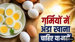 इन 7 लोगों को गर्मियों में अंडों से करना चाहिए पूरी तरह परहेज, वरना बिगड़ सकती है तबीयत
