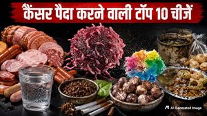 WHO ने जारी की कैंसर पैदा करने वाली टॉप 10 चीजों की लिस्ट, भारत में लोकप्रिय यह चीज भी सूची में शामिल