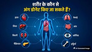 World Organ Donation Day 2026: शरीर के कौन से अंग किए जा सकते हैं दान? समझें पूरा प्रोसेस और नियम