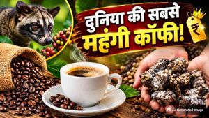 लाखों में बिकती है दुनिया की सबसे महंगी कॉफी, लेकिन बनाने का प्रोसेस जानकर फ्री में भी पीने से करेंगे तौबा!