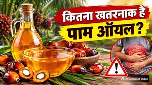 पाम ऑयल क्या होता है और इसे खाने से क्या नुकसान होते हैं? जानिए इससे शरीर पर क्या असर होता है
