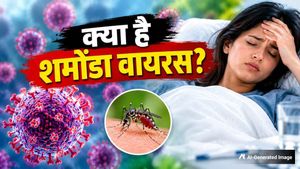 Shamonda Virus:शमोंडा वायरस क्या है और कैसे फैलता है? फ्रांस में पहली बार इंसान संक्रमित, जांच शुरू