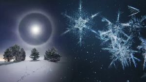 20th or 21st December? When Is the Winter Solstice In 2025 And How Is It Different From Meteorological Winter